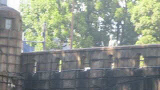 日本橋クルーズで