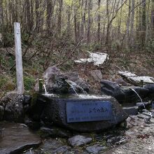 須川岳秘水 ぶなの恵み