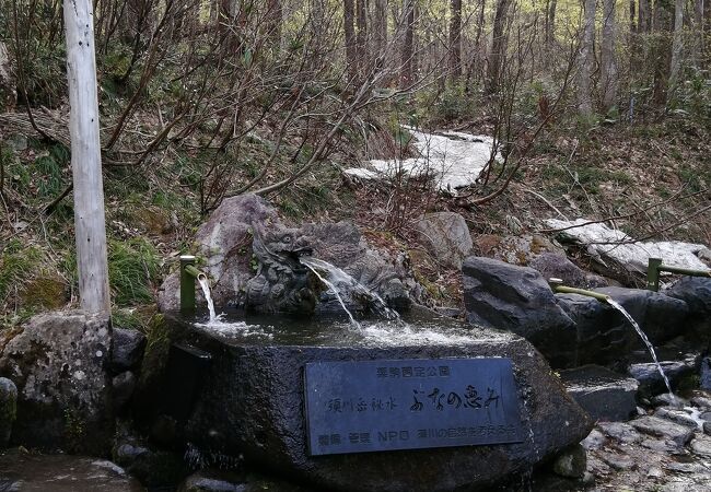 須川岳秘水 ぶなの恵み