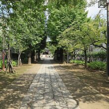 こういった質素な神社、好きです