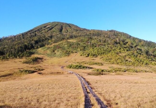 湿原から見る燧ケ岳がきれいだった