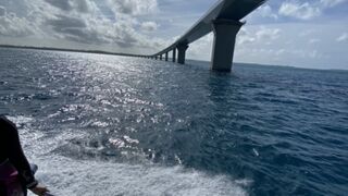 ボートから眺めました！