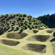 抹茶ワッフルようやく見れました