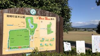 ひろーい公園　いいなぁ