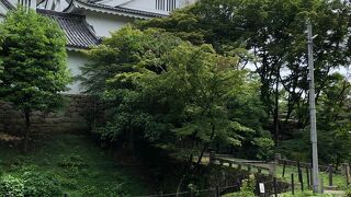 徳川家康が生まれた！