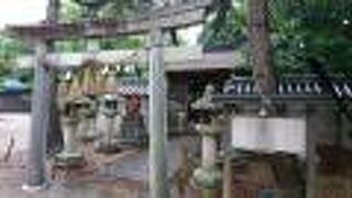 本殿・拝殿は檜皮葺