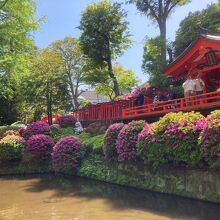 つつじ苑と乙女稲荷神社の千本鳥居