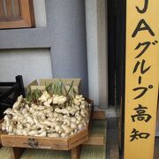 大きな生姜のお供え物