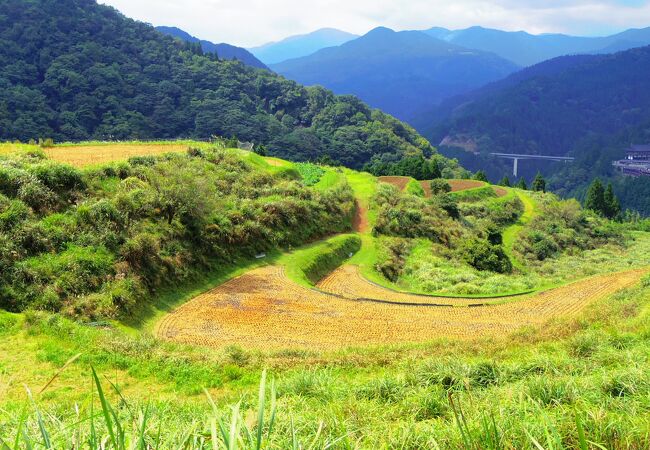 西ヶ丘の棚田