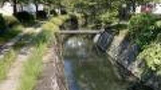 初めて歩きました