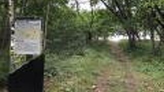 春採湖を一望できるスポット