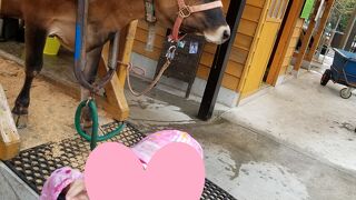 安く手遊べます＠まかいの牧場