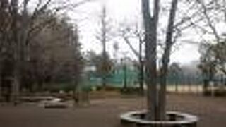 板橋区と練馬区にまたがる巨大な公園