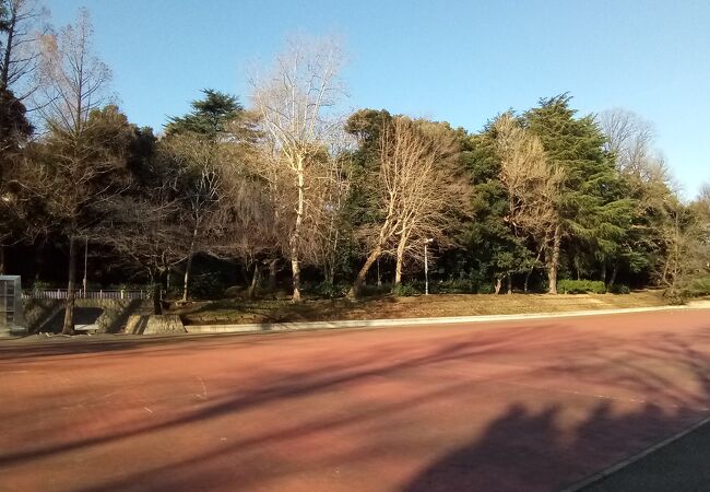 北江古田公園 調節池