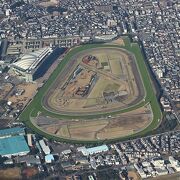 空からの阪神競馬場