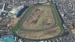 空からの阪神競馬場