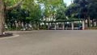 緑がきれいな公園