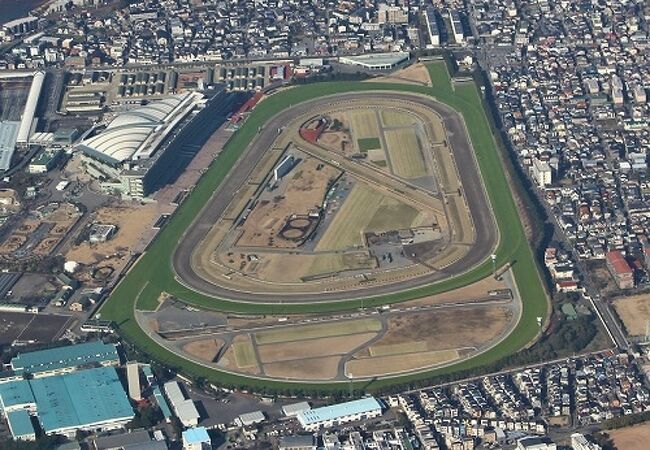 空からの阪神競馬場