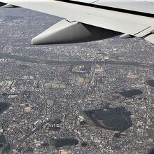 古市古墳群だそうです。