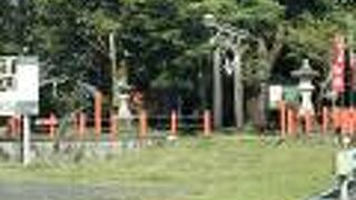 あまり整備されてない印象