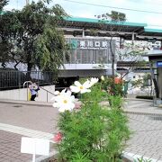 駅周辺も花が絶えることがありません