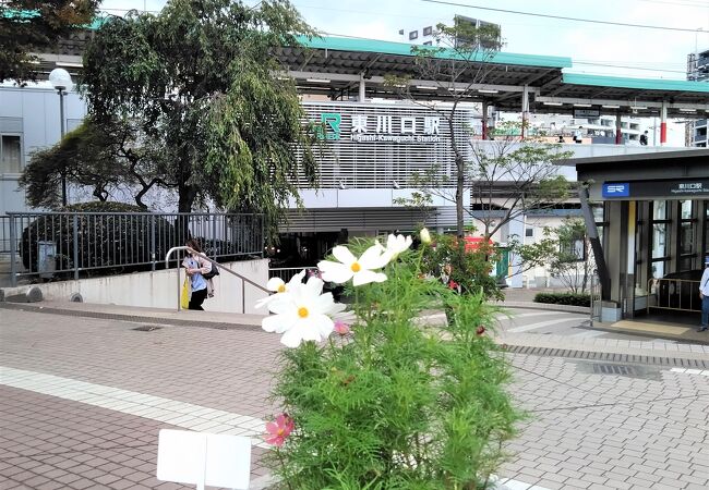 駅周辺も花が絶えることがありません