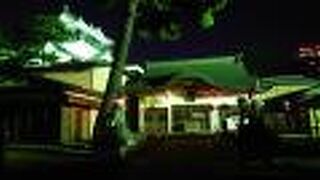 岡崎城のスグ隣に立地する神社