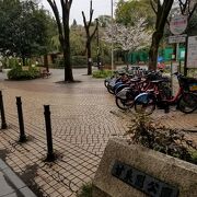 普通の公園の奥には回遊式の日本庭園が