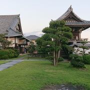 戦国時代に徳川家康が創建した、岡崎市に立地のお寺