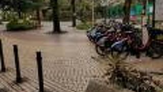 普通の公園の奥には回遊式の日本庭園が