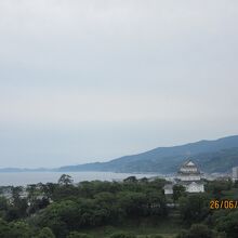 １４階から相模湾の絶景