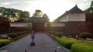 近辺によく白鳥がいます。