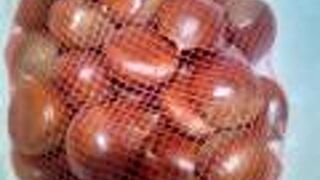 秋の味覚「栗」