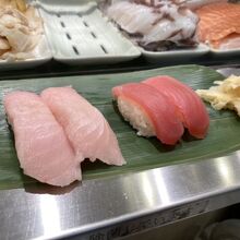 ビンチョウとマグロ