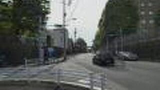 頂上は東大の中を。