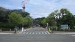 石垣がほとんどないお城