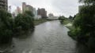 木伏緑地 (啄木であい道)