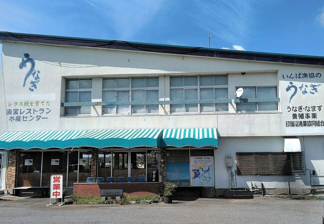 印旛沼漁協直営レストランでうな重も2000円位で食べられます