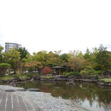 園内に広がる池のほとりに、芝生広場や茶室などがあります。