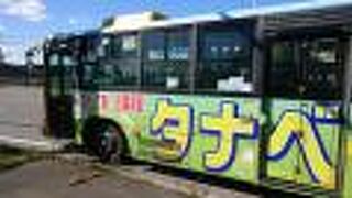 真鍋庭園へ向かうのに路線バスパックで利用