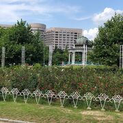 名古屋市初の市立公園！