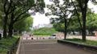 全長1.5km以上！