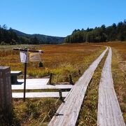 尾瀬沼近くに広がる湿原