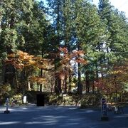 日光二荒山神社の正面に向かう参道