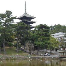 猿沢の池と興福寺五重塔