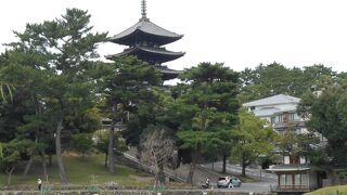ここから見る興福寺の五重塔は素晴らしいです。
