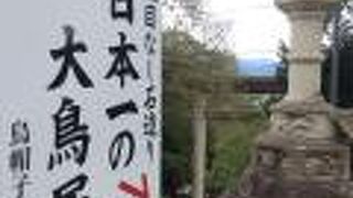 見どころは日本一の大鳥居