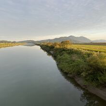 大河津分水