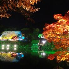 夜のライトアップ、感動です！