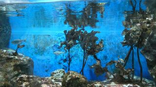 今月末で閉園・・・